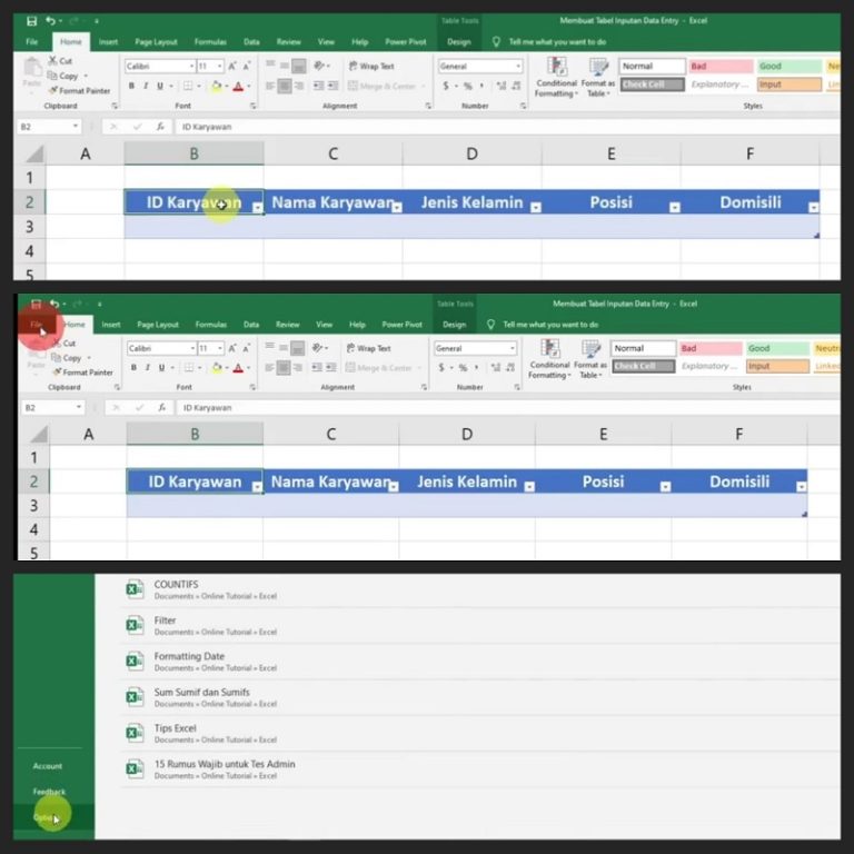 Cara Membuat Entry Data Otomatis di Excel Agar Lebih Cepat dan Mudah